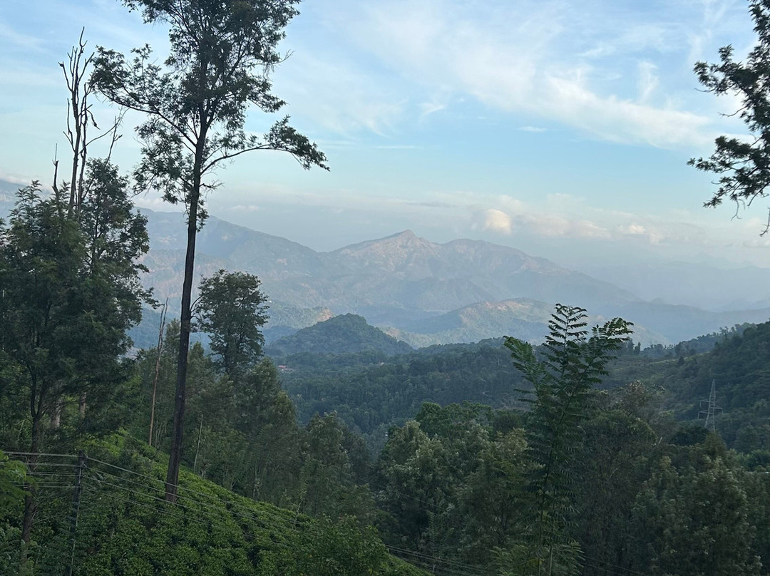 Narangala Mountainous Tourism With Robinson's Path-Badulla必去景点