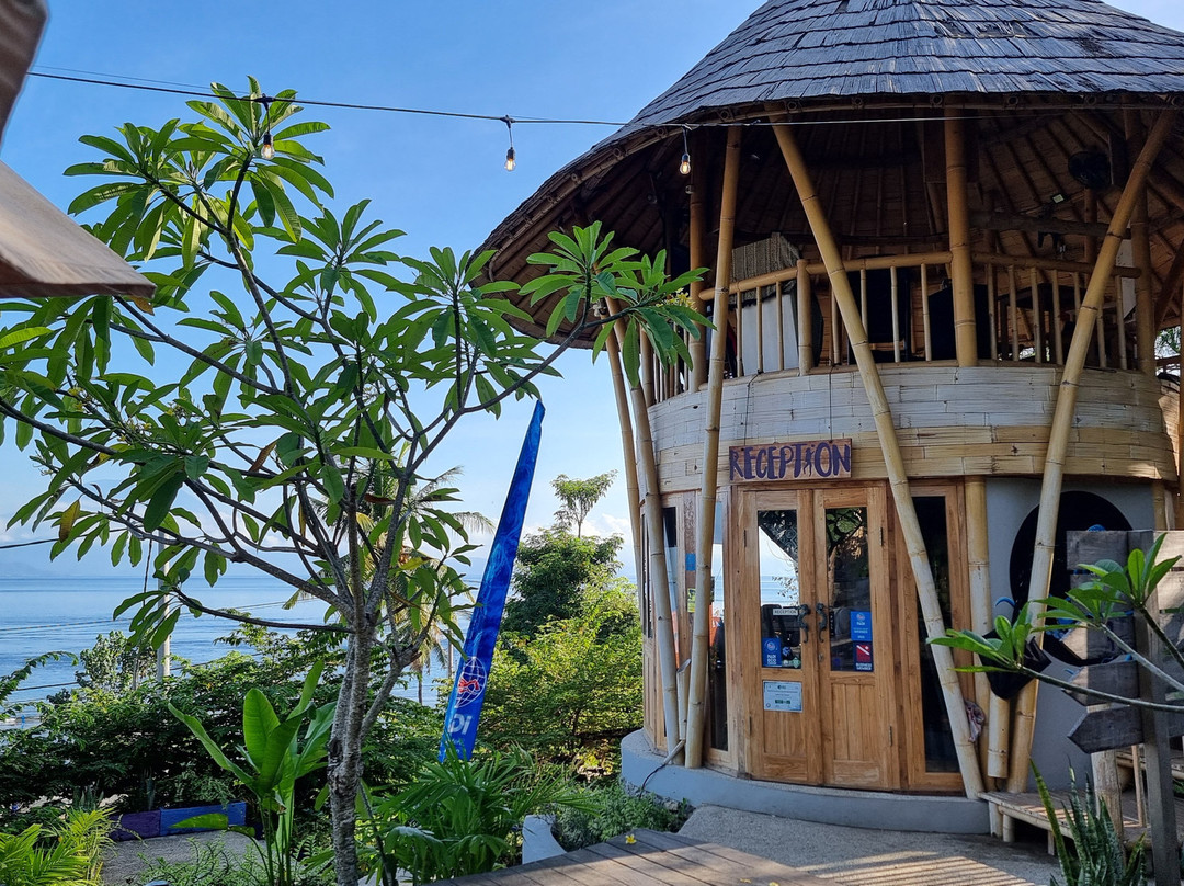 Purple Dive Penida-珀尼达岛必去景点