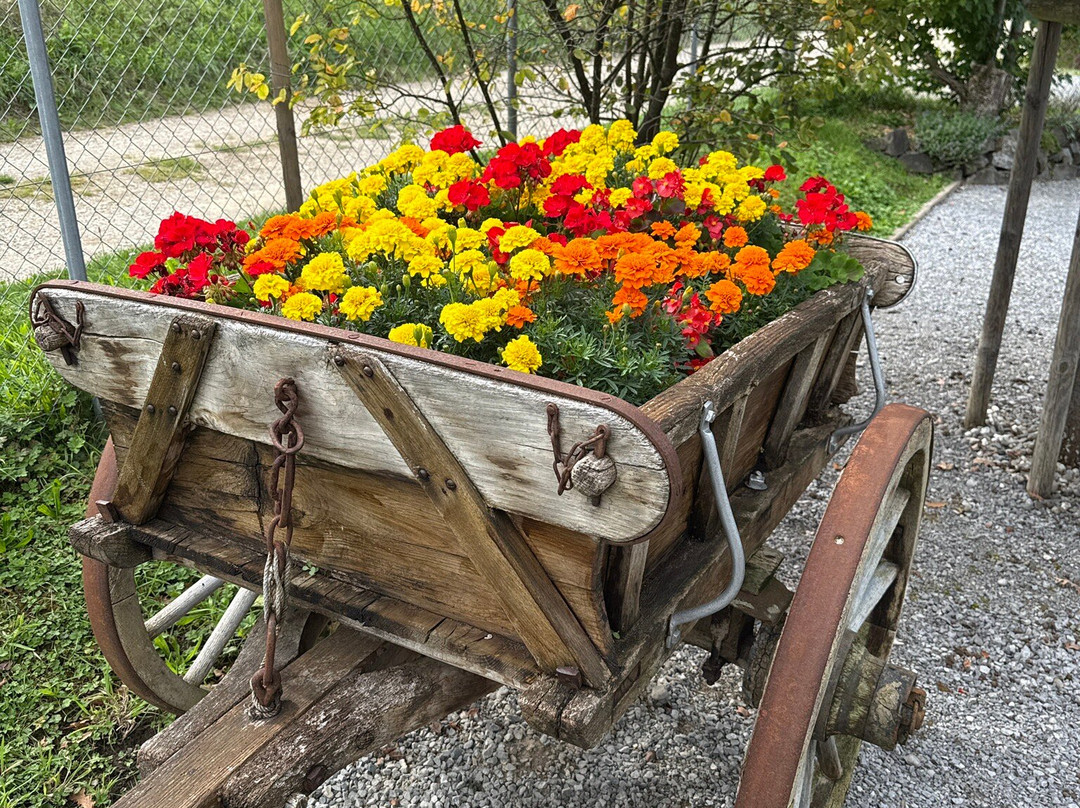 Vogelpark Ambigua-Zeihen必去景点