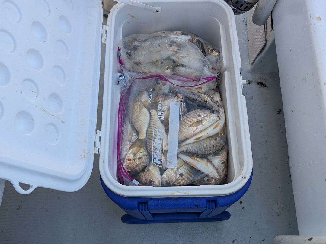 Miss Lizzy Fishing Charters-Chesapeake Beach必去景点
