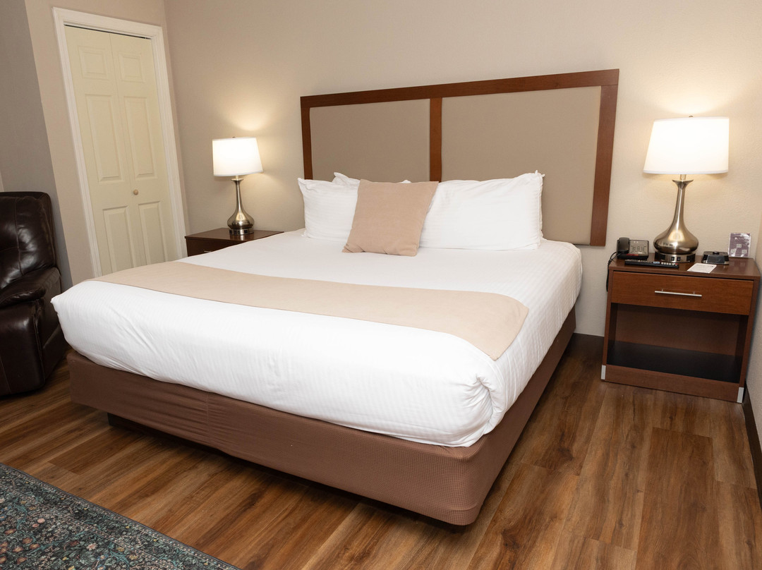 D. Hotel Suites and Spa主图