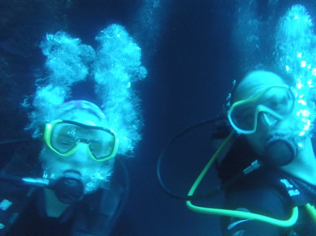 Blue Adventures Diving-干尼亚必去景点