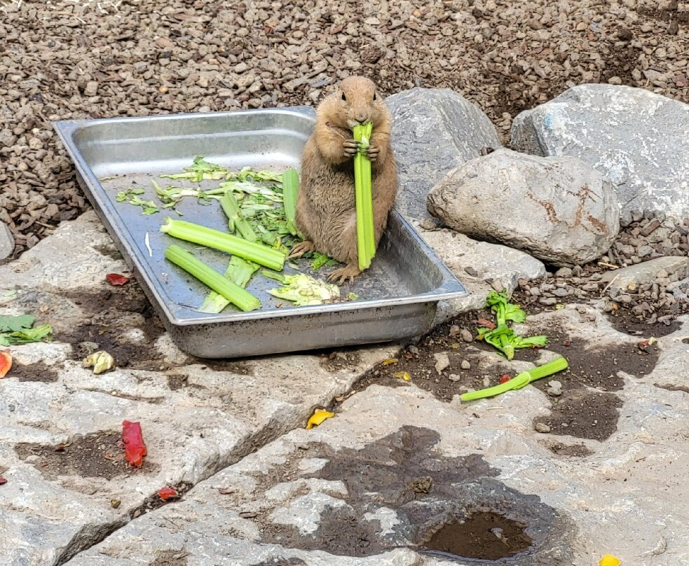 Boerderij Daalhoeve-马斯特里赫特必去景点