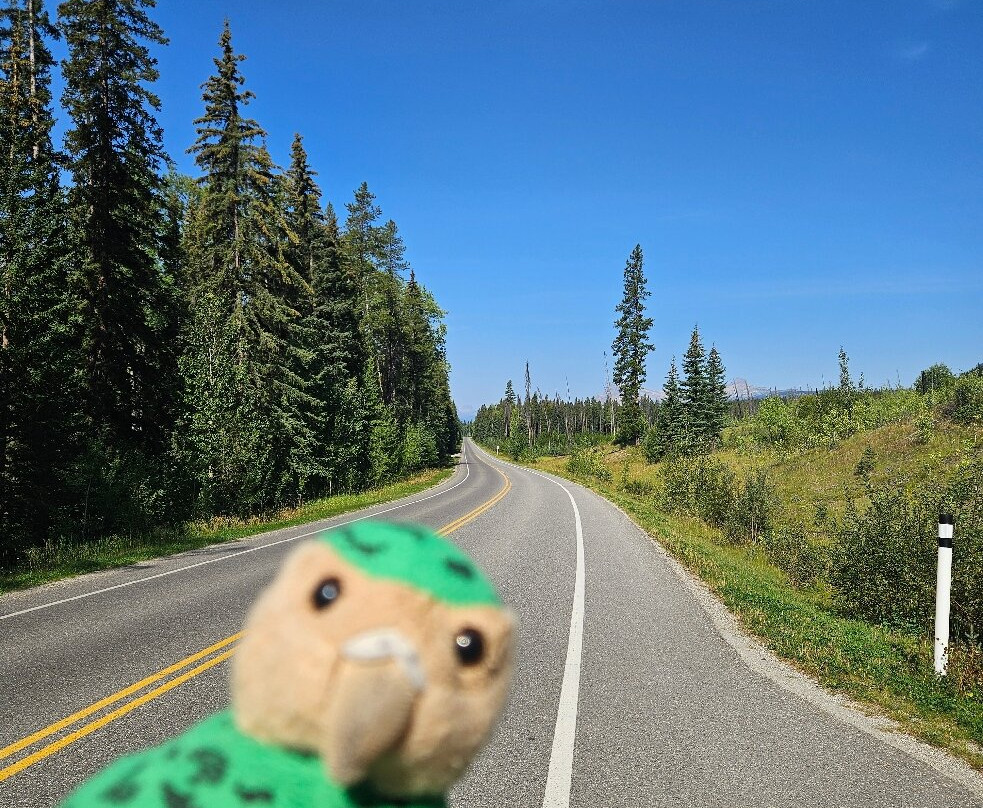 Banff Cycle + Sport-班夫必去景点