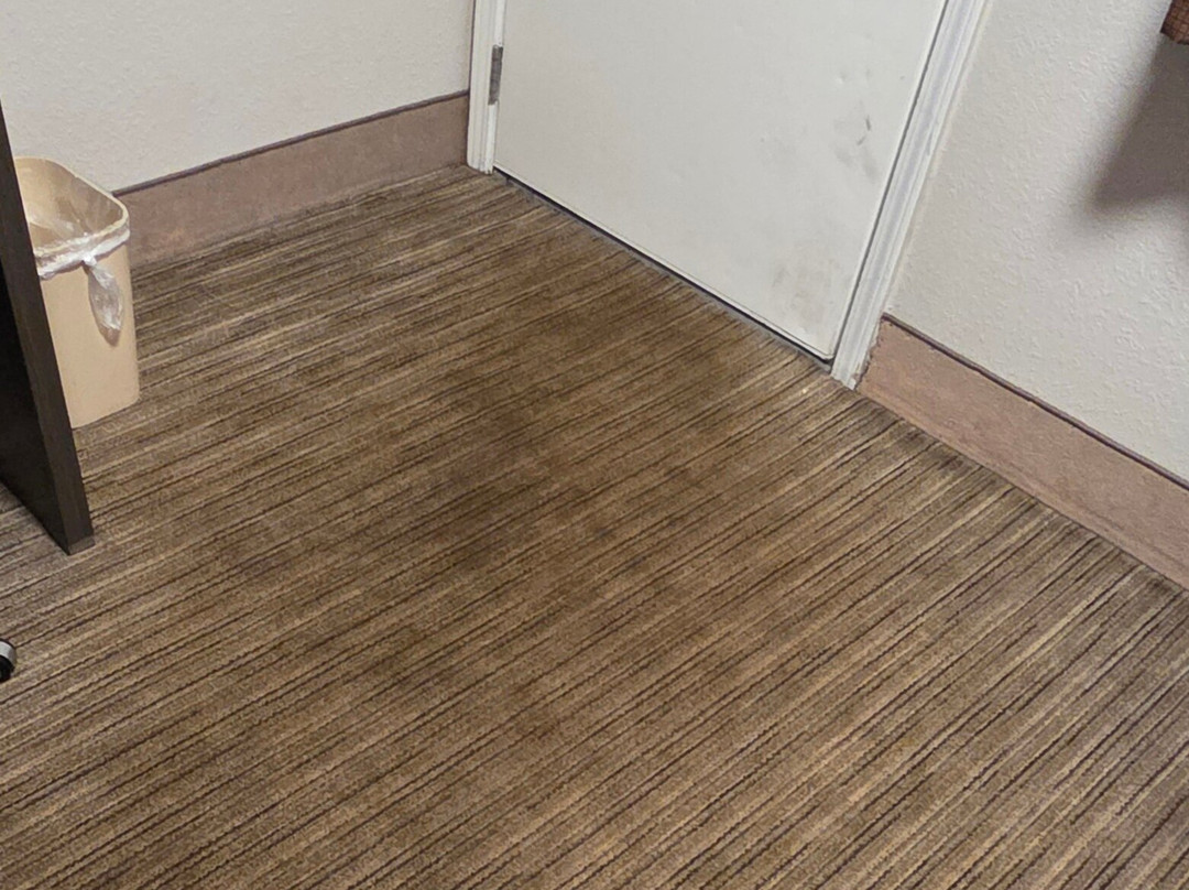 Best Western Dickson主图