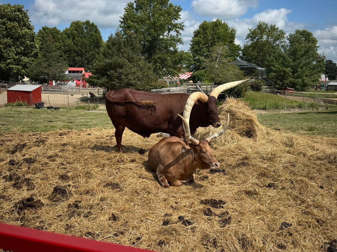 Davis Farmland-Sterling必去景点