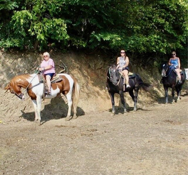 Five Oaks Riding Stables-塞维尔维尔必去景点