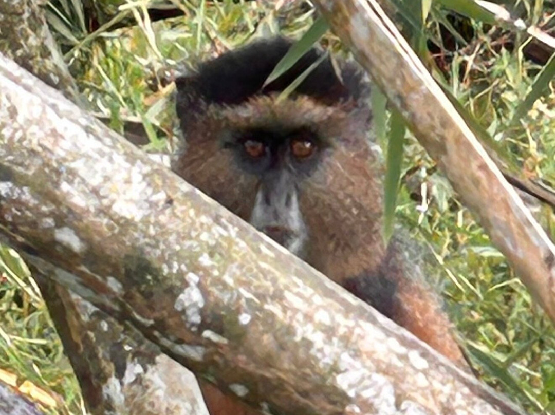 Lets Go Tours Rwanda-吉佳利必去景点