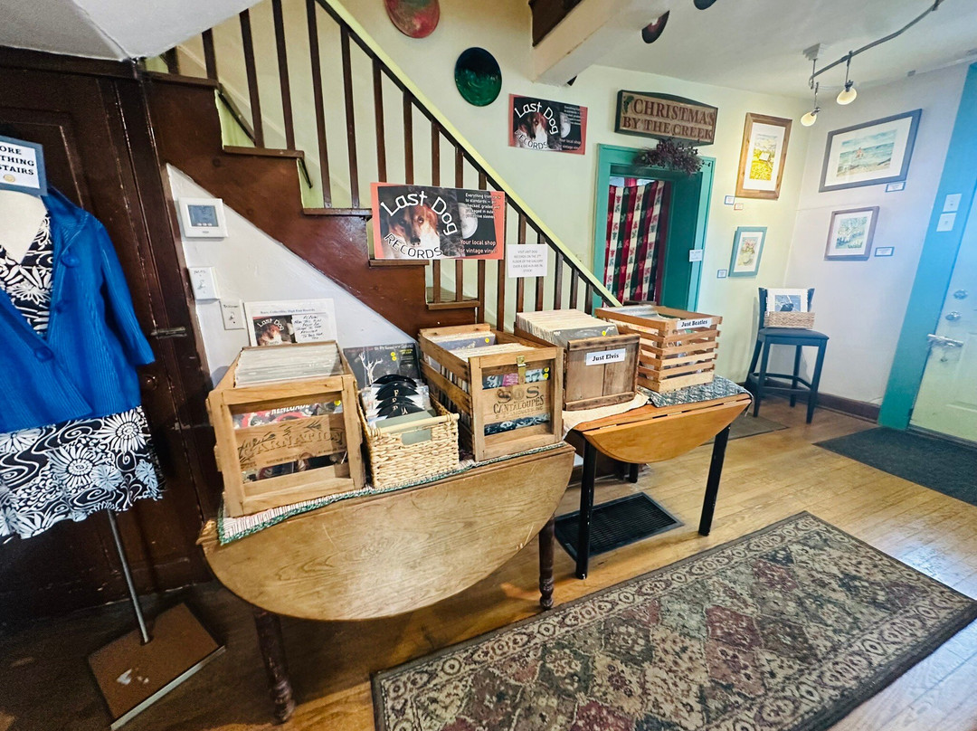 Bottlebrush Gallery-Harmony必去景点