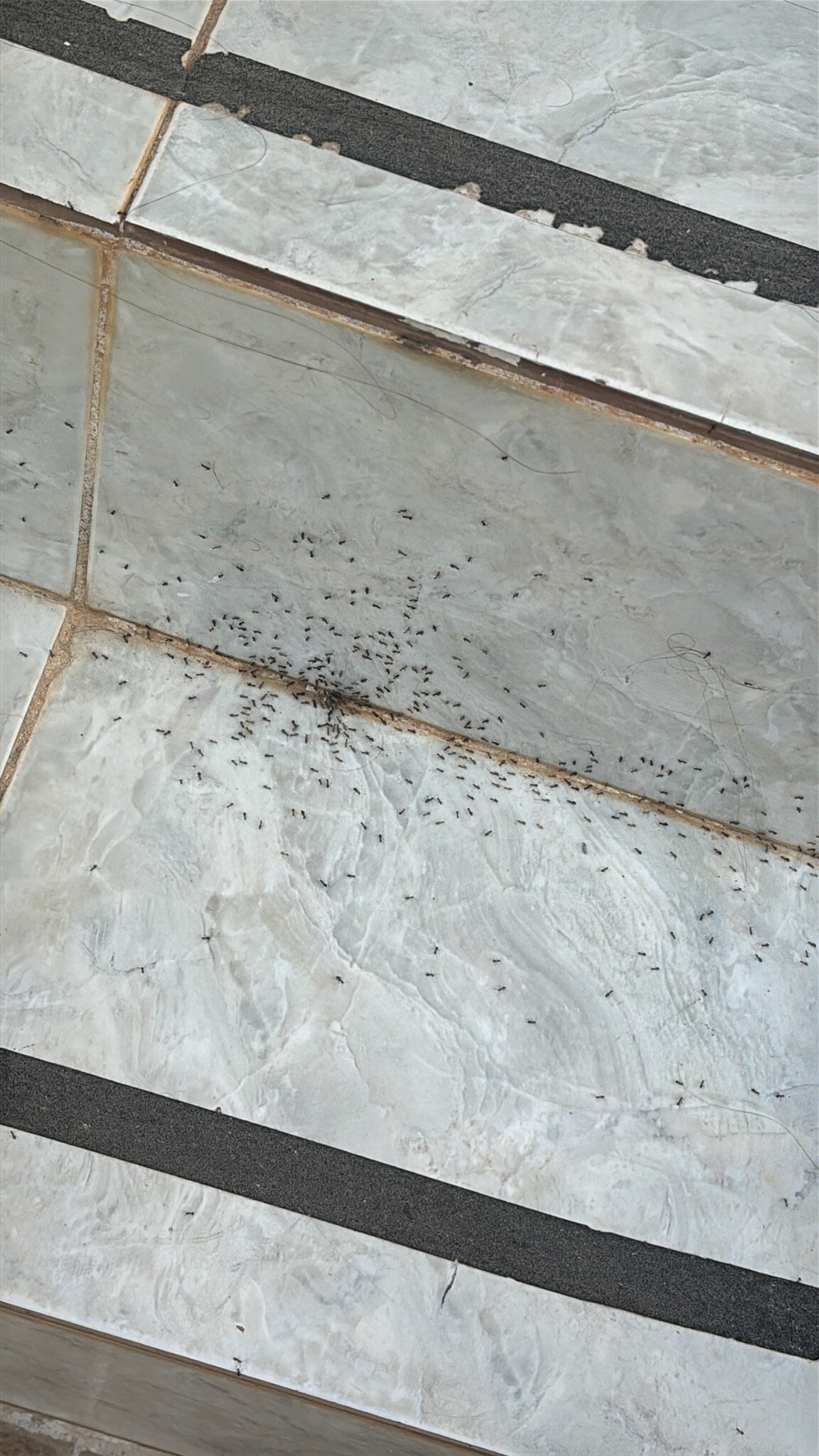 Eltina Apartments-官方