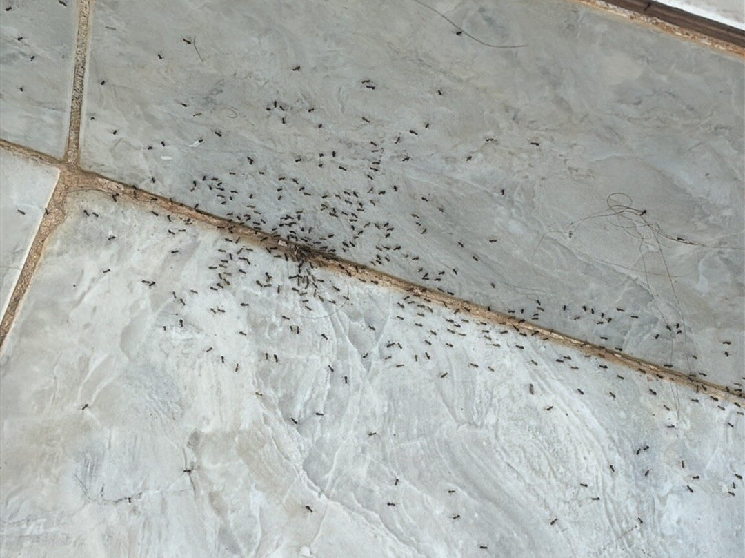 Eltina Apartments主图