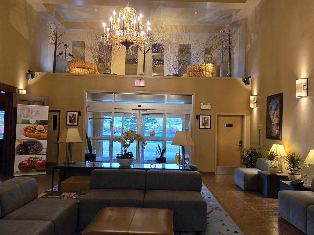 Quality Inn & Suites主图