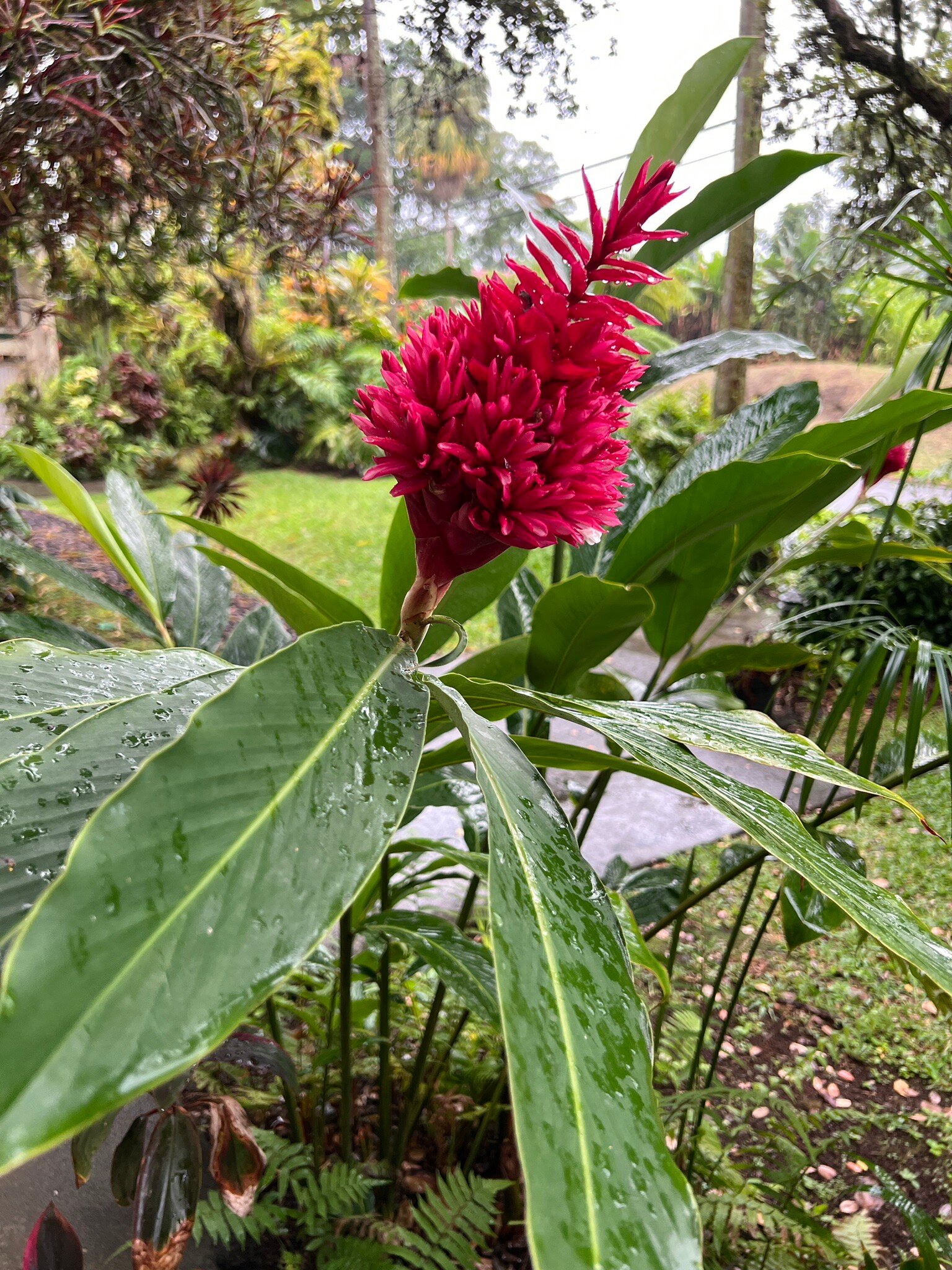 海豚湾酒店-官方