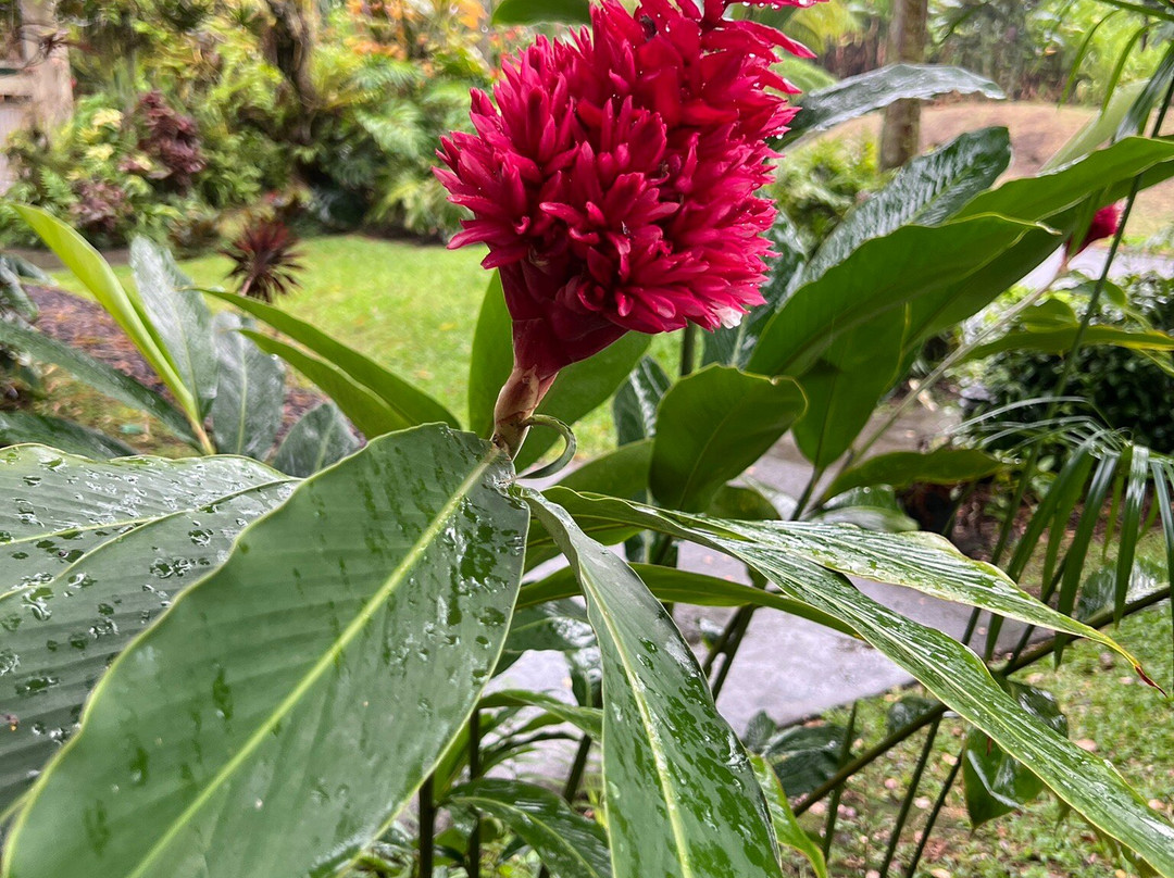 海豚湾酒店主图