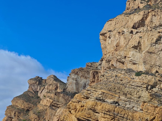 Mundo Marino Altea-阿尔特阿必去景点