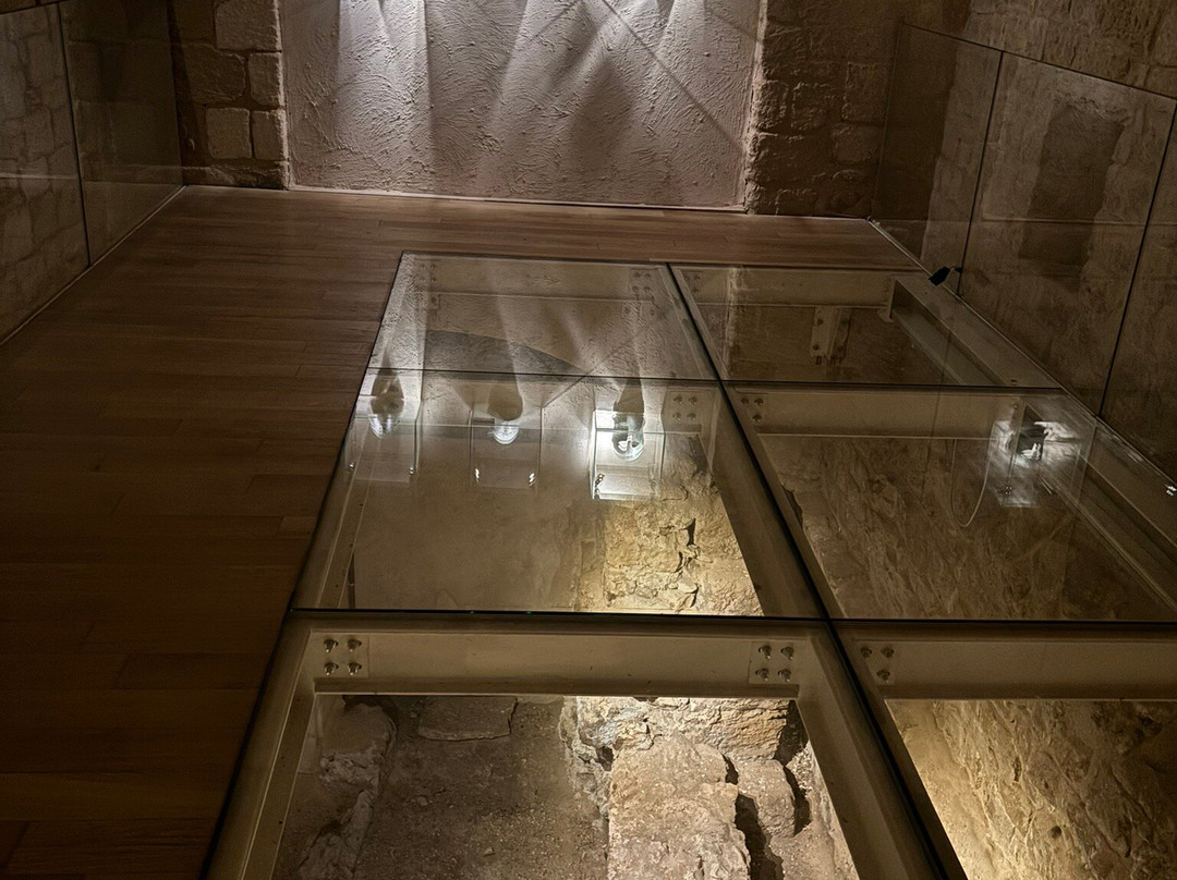 Museo Archeologico di Santa Scolastica-巴里必去景点