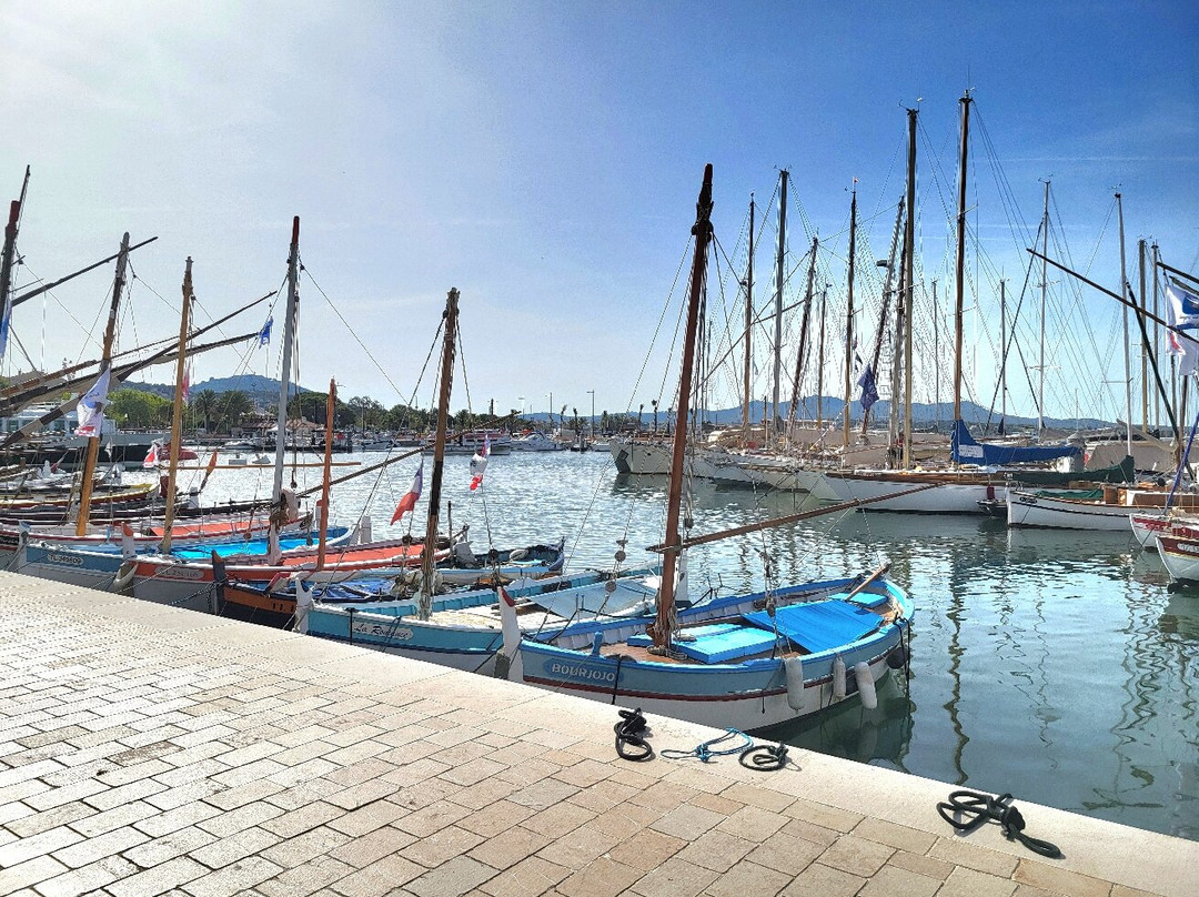 Port Sanary Sur Mer-滨海萨纳里必去景点