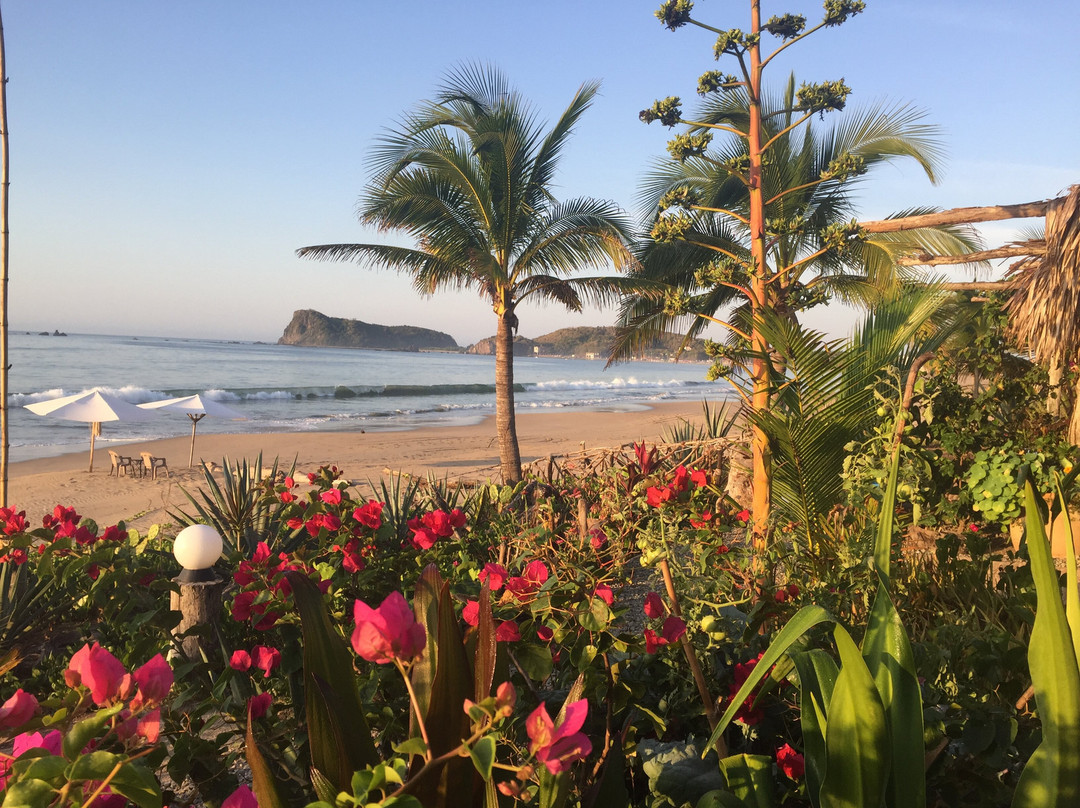 Playa Tenacatita-Tenacatita必去景点