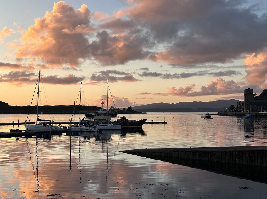Basking Shark Scotland-奥本必去景点