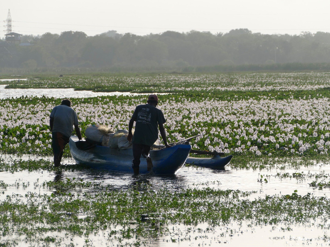 Hotel Peace & Lodge主图