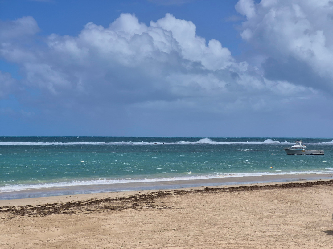 Port Gregory Beach-卡尔巴里必去景点