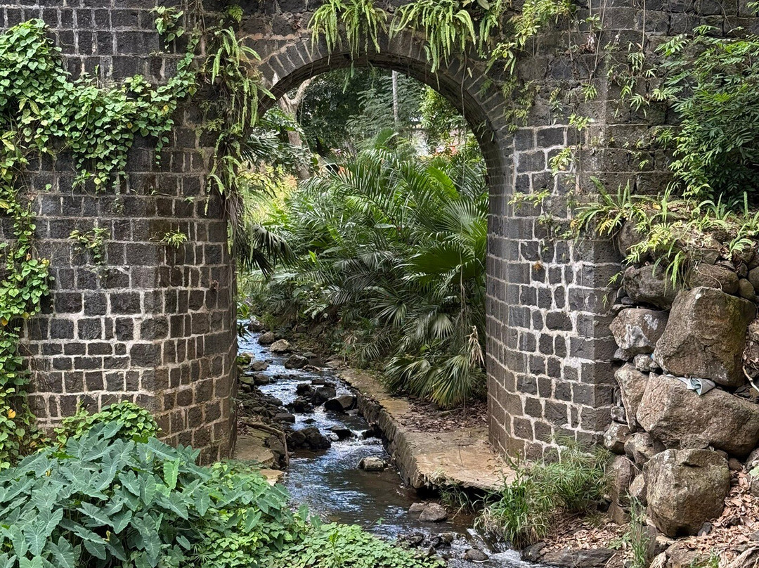 Sir Seewoosagur Ramgoolam Botanical Garden-庞波慕斯必去景点