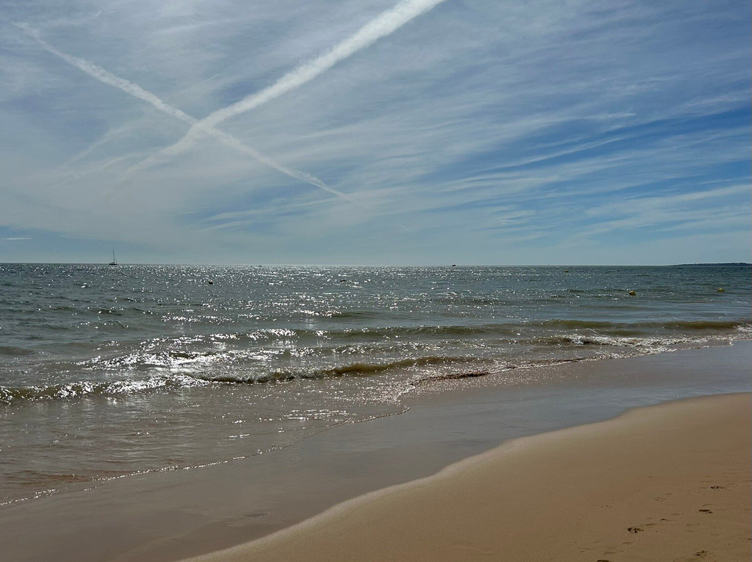 Praia da Rocha Baixinha-阿尔布赞拉必去景点