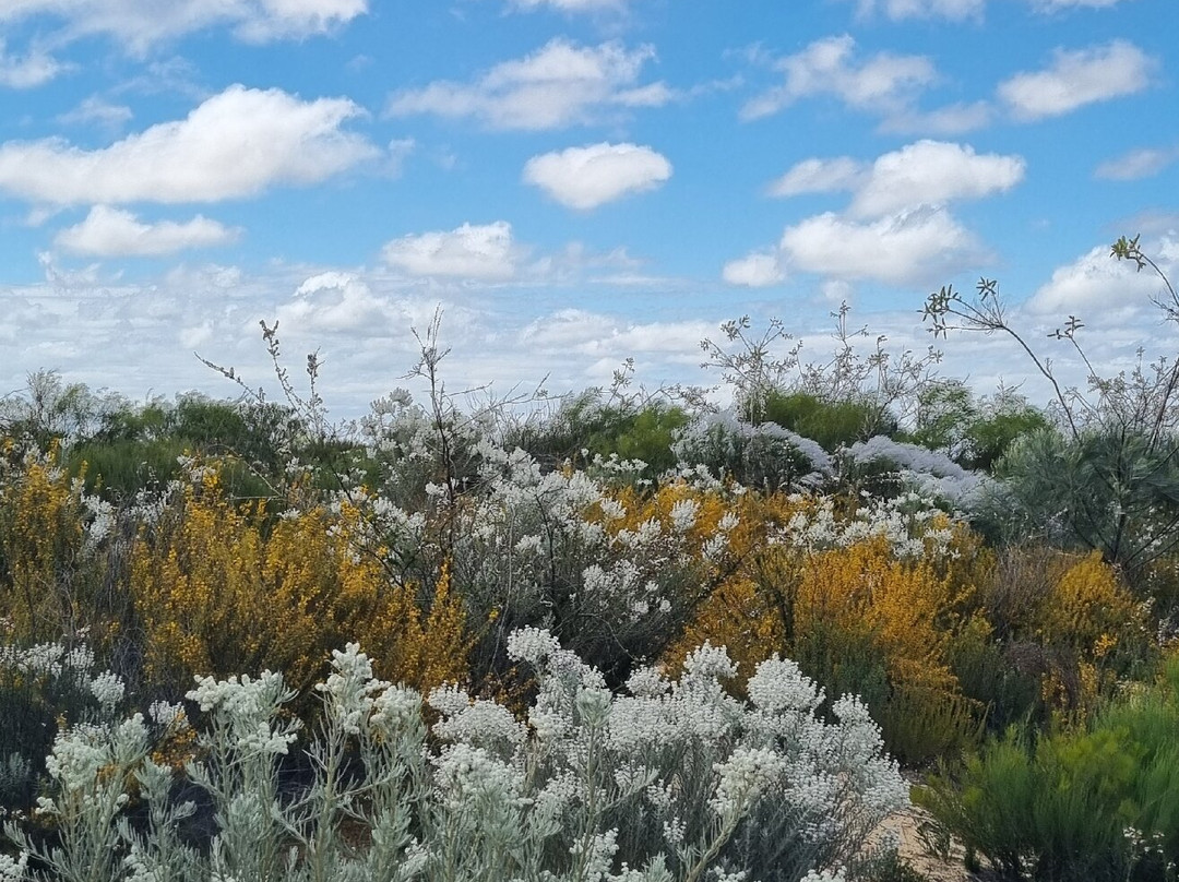 Kalbarri Skywalk-卡尔巴里必去景点