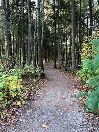 Gatlinburg Trail-大雾山国家公园必去景点