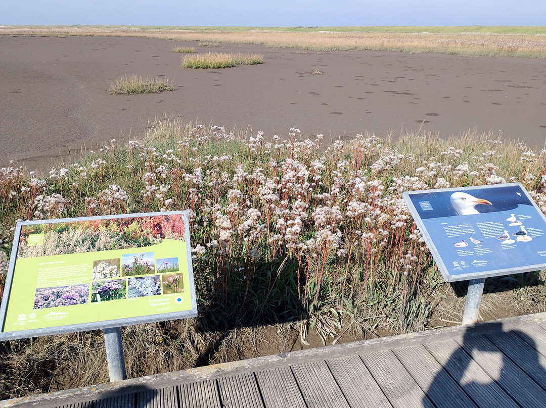 Langwarder Groden-Butjadingen必去景点