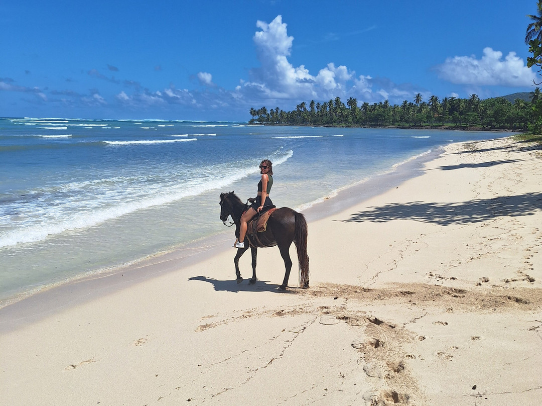 Rudy's Rancho-Las Galeras必去景点
