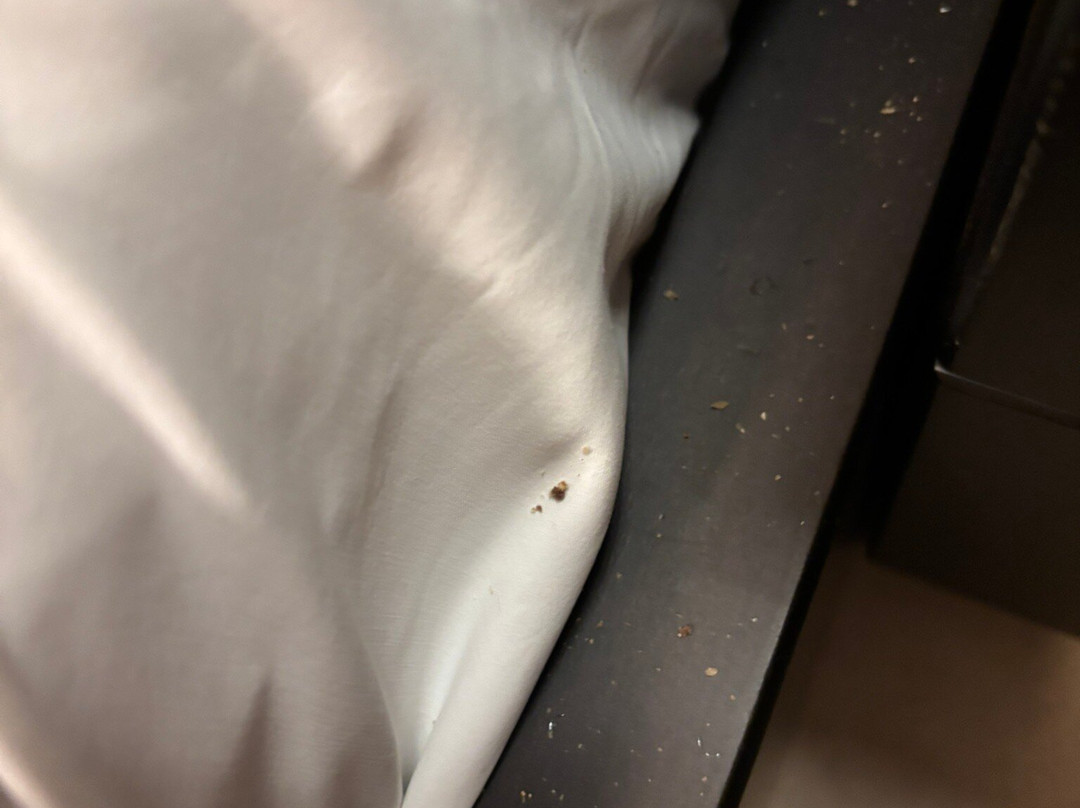 迈特奥雷迪斯酒店主图