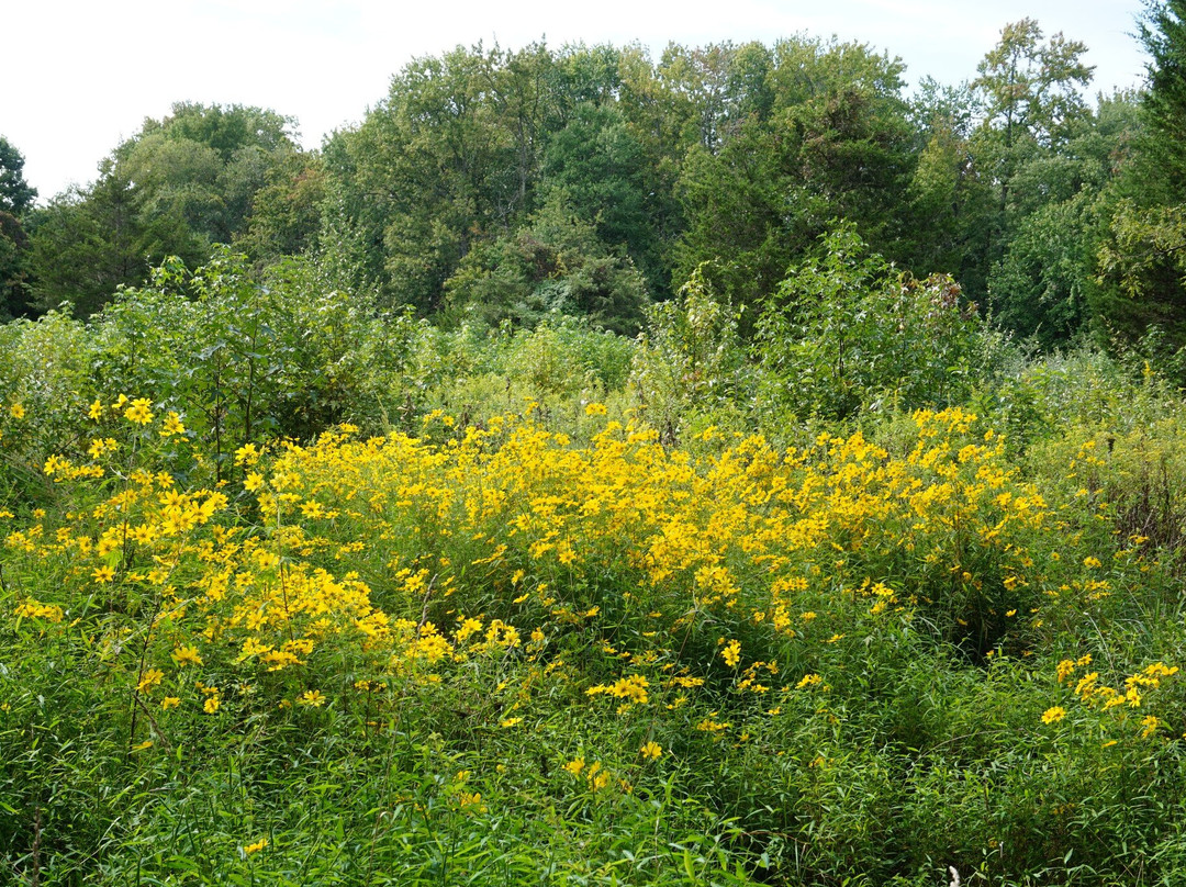 Quiet Waters Park-安纳波利斯必去景点