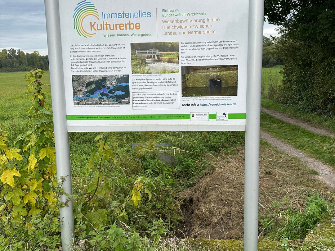 Queichwiesen-Offenbach an der Queich必去景点