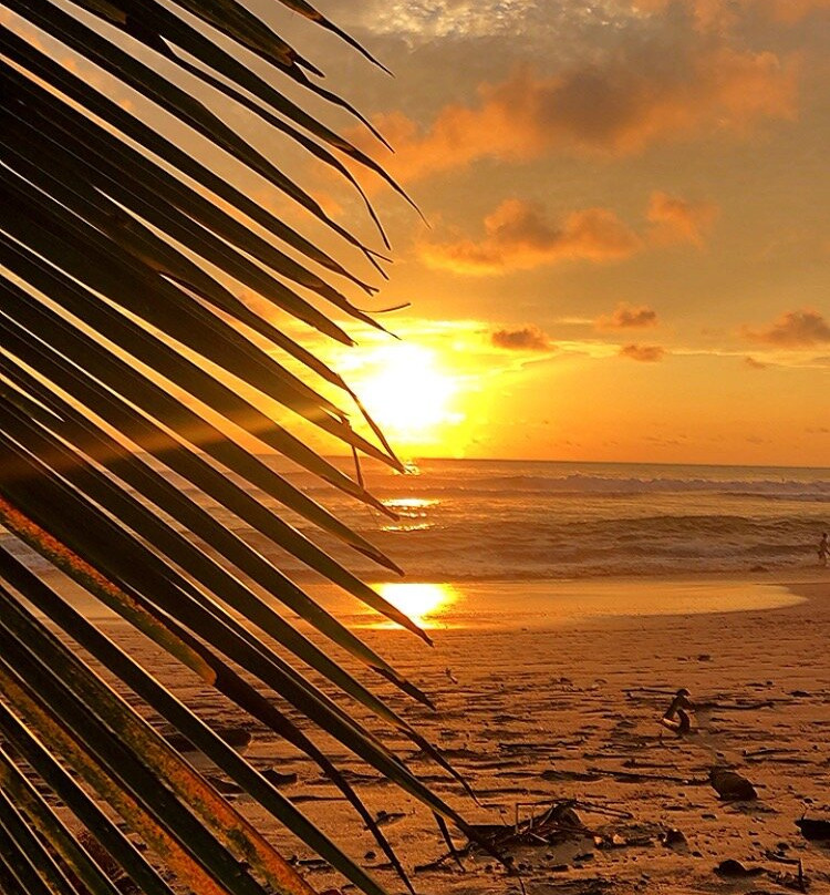Playa Santa Teresa-圣特雷莎必去景点