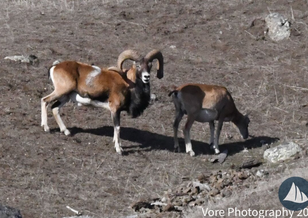 Deer Harbor Charters-Deer Harbor必去景点