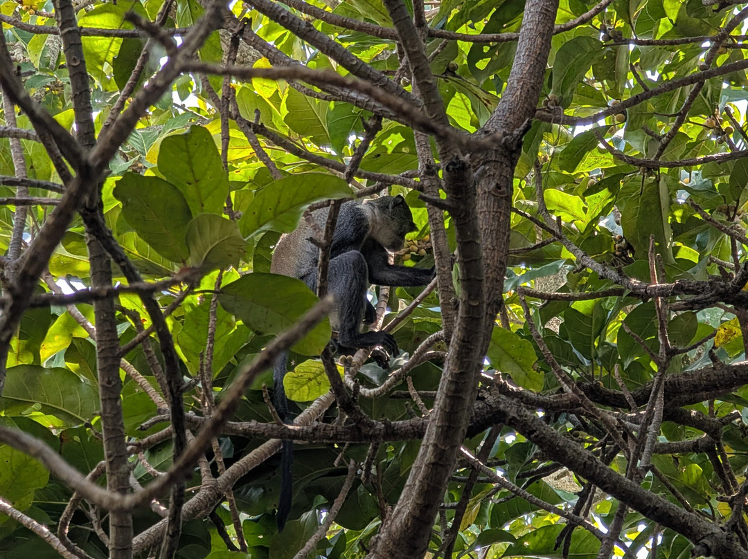 Maalum-帕杰必去景点