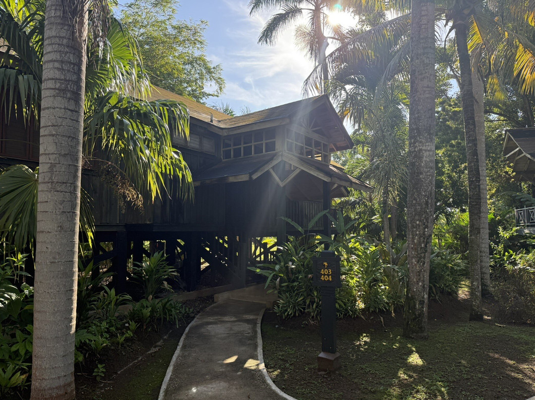 Sunset At The Palms主图