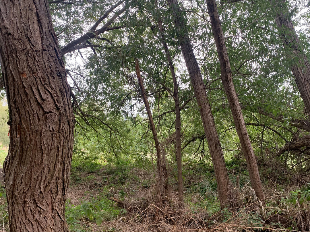 Eastbrookend Country Park-Dagenham必去景点