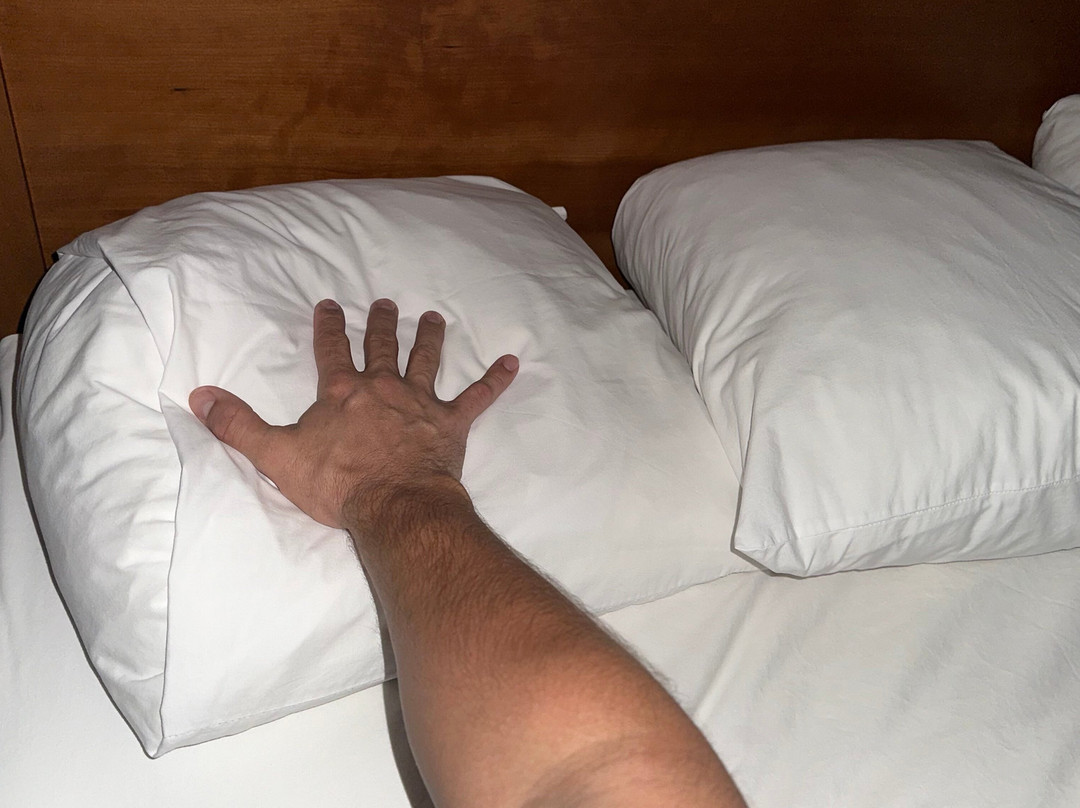 Wingate by Wyndham主图