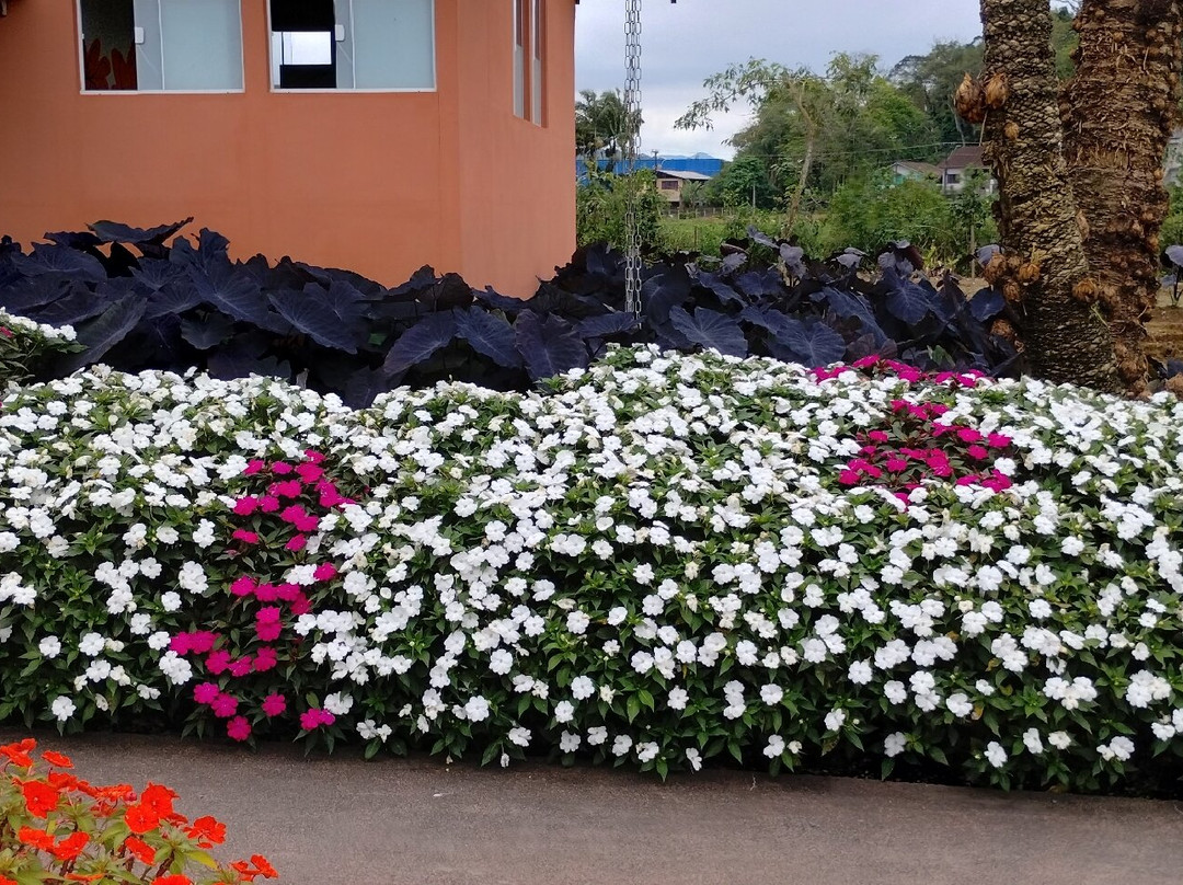 Hemero - Jardins Como Arte-Joinville必去景点