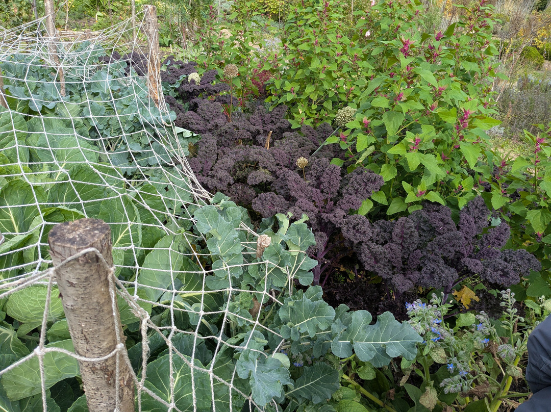 Knepp Wildland Safaris-霍舍姆必去景点