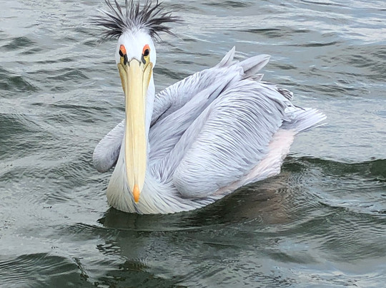 Joyina Safaris Africa-内罗毕必去景点