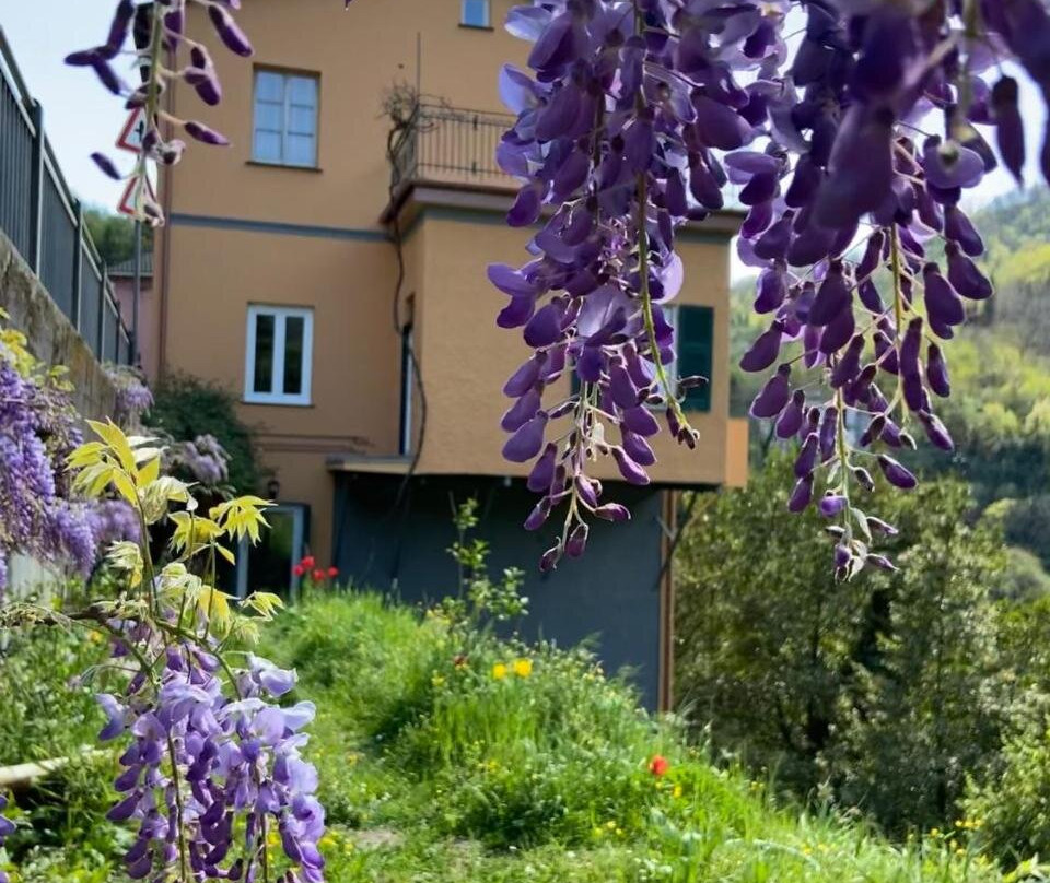 C'era Un Voltino Guest House