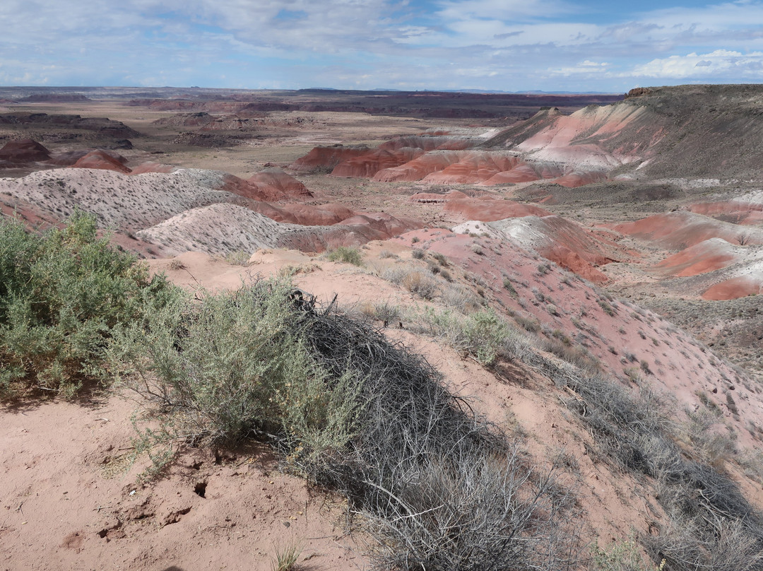 Petrified Forest National Park-霍尔布鲁克必去景点