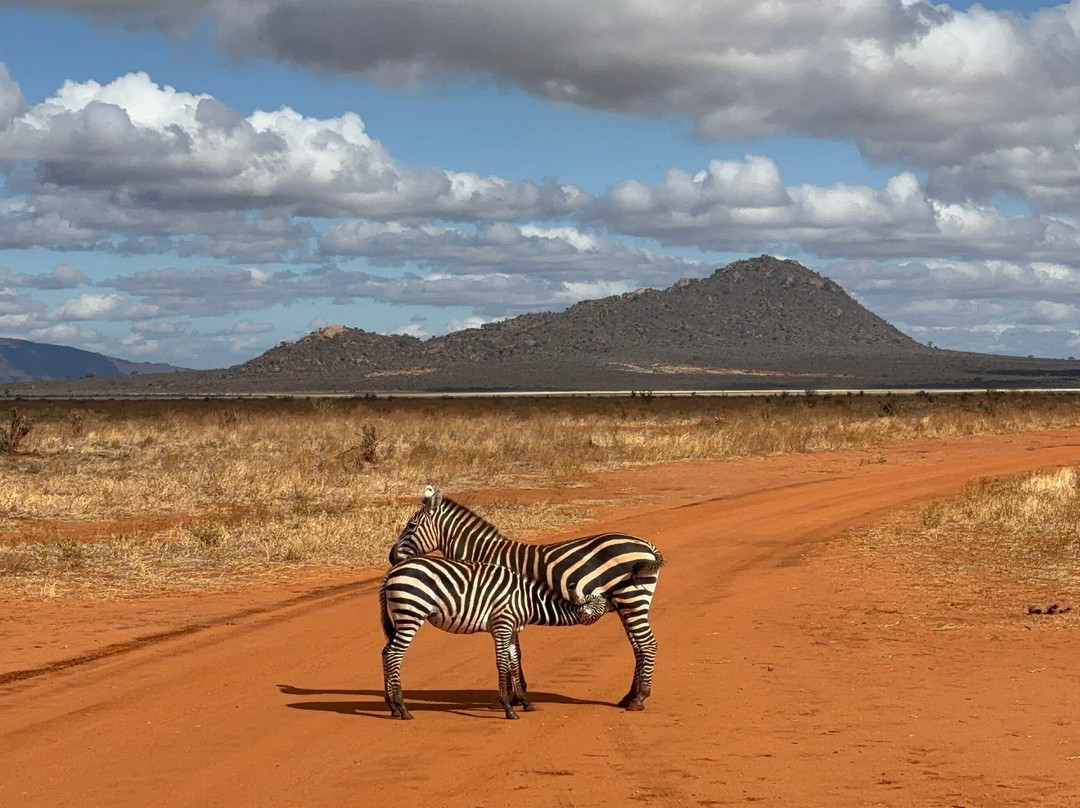 PD Tours and Safaris-蒙巴萨必去景点