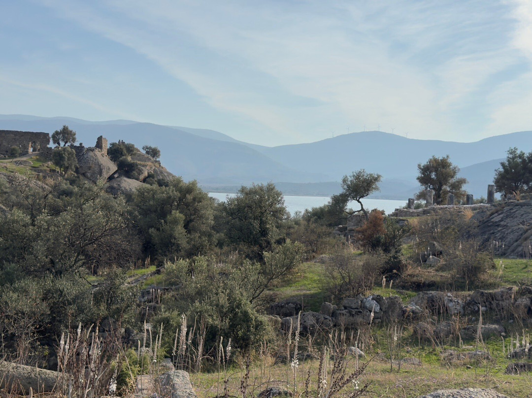 阿戈拉旅馆主图