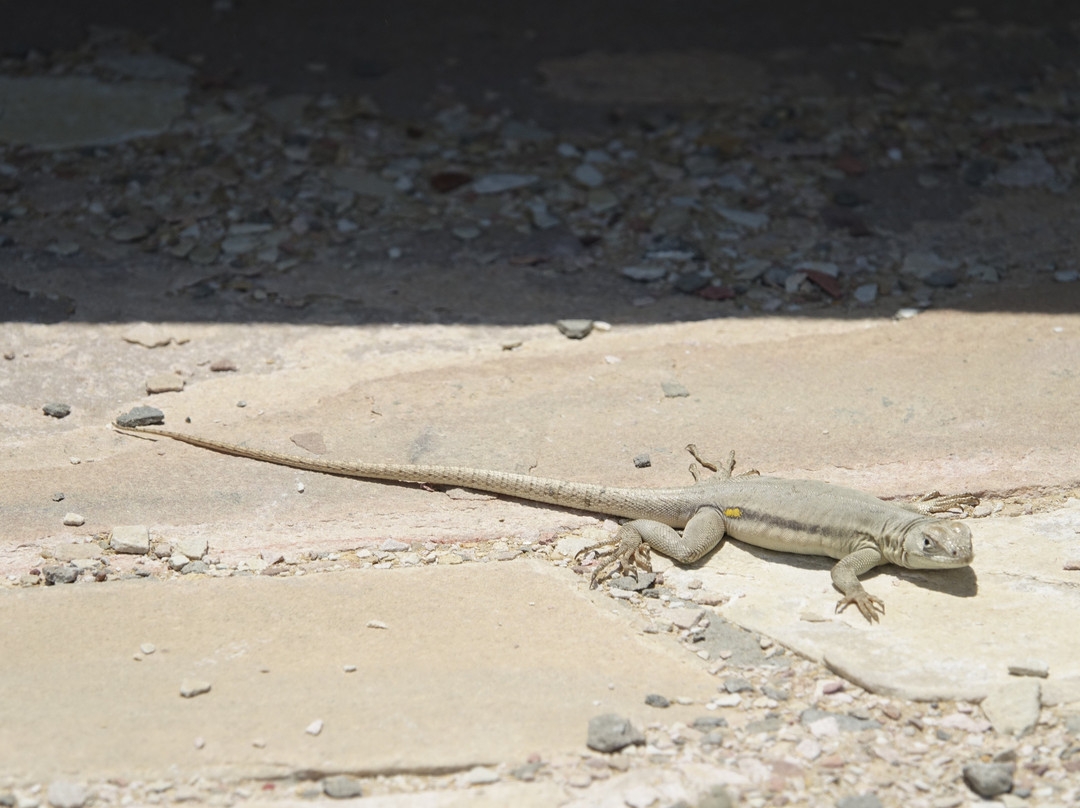 La Catedral-帕拉卡斯必去景点