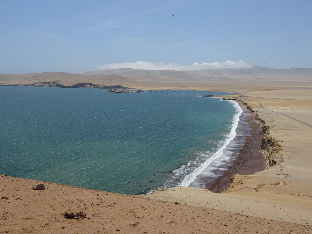 Paracas National Reserve-Ica Region必去景点
