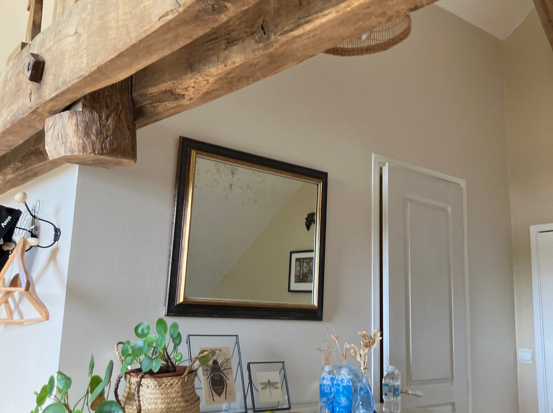 Chambres d'Hotes la Grenouillere主图